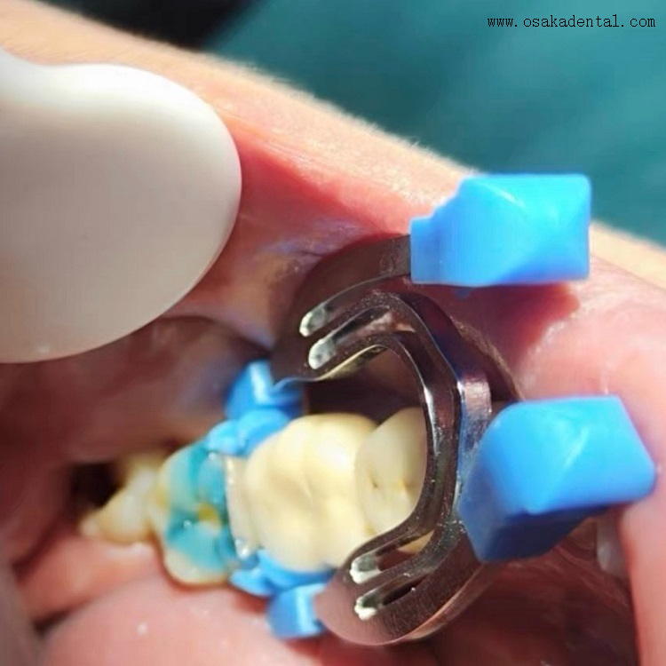 QQ图片20240531105310 QQ photo 20240531105310