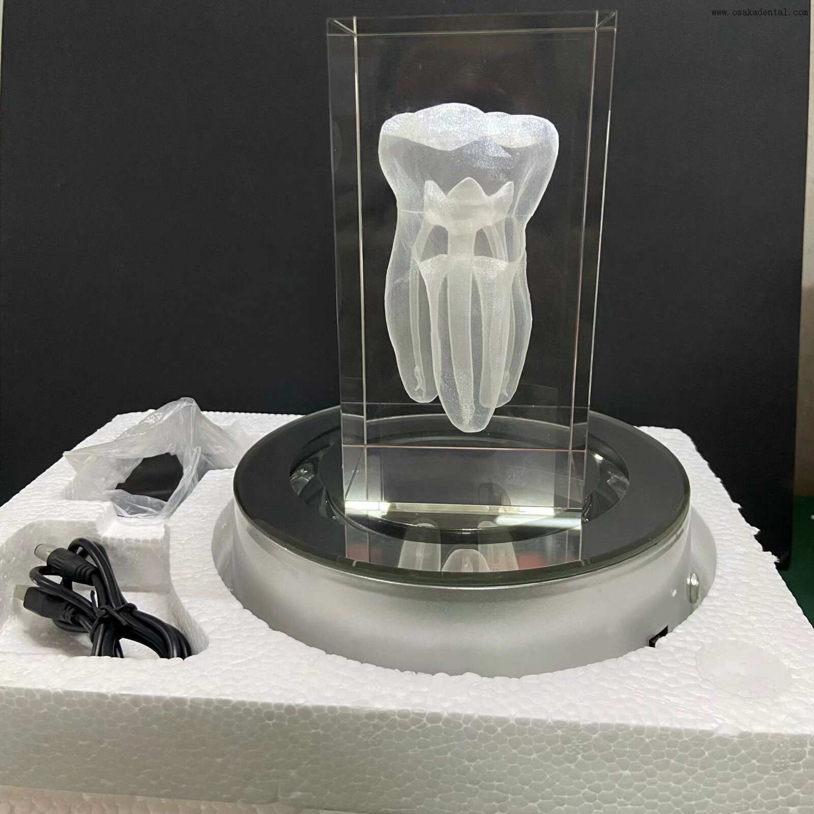 QQ图片20250527140540(18) QQ photo 20250527140540(18)