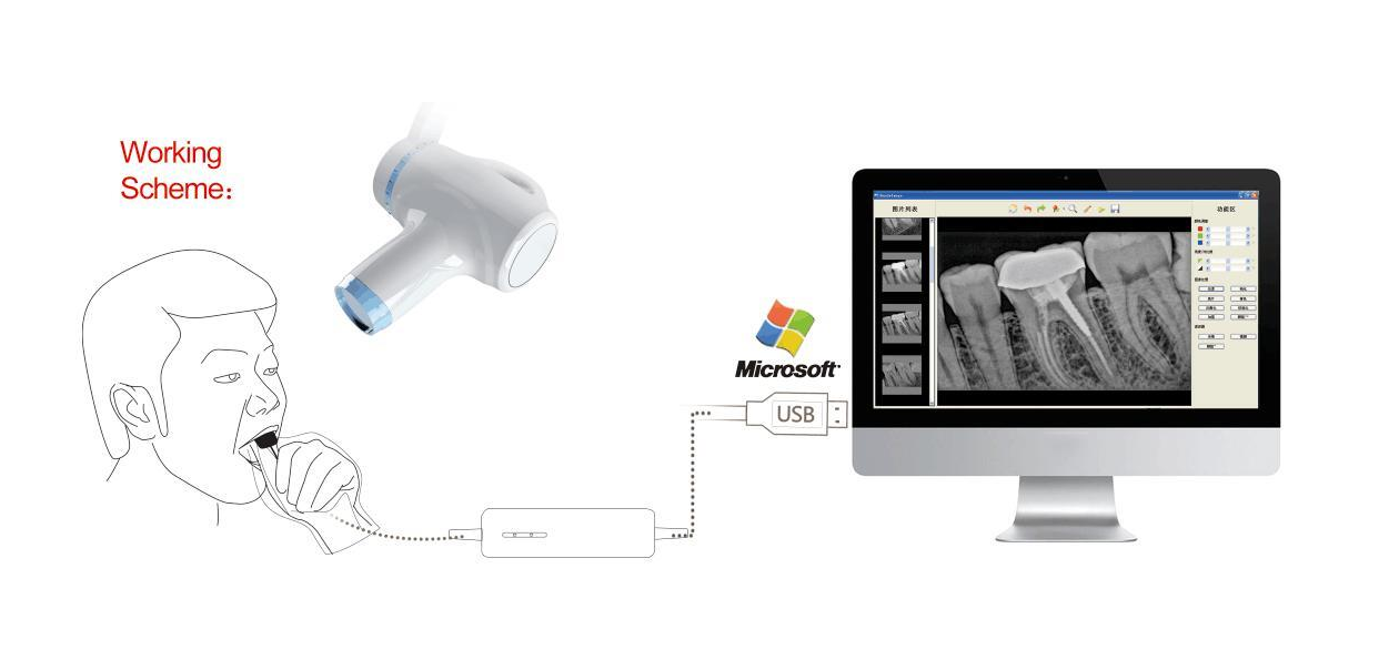 QQ20241206-155605 QQ20241206-155605