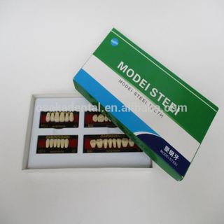 Une dentition dentaire en acier PVC compatible avec le Japon MODEI