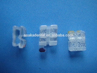 Support orthodontique saphir dentaire élastique