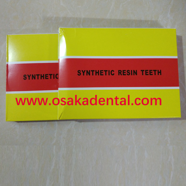 Qualité européenne Trois couches dentaires fausses dents / dents synthétiques dentaires / dents dentaires en résine acrylique
