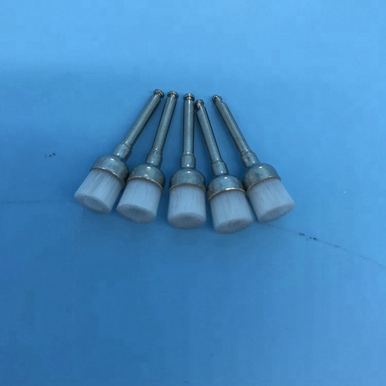Une brosse polonaise dentaire / brosse de prophylaxie dentaire / brosse dentaire