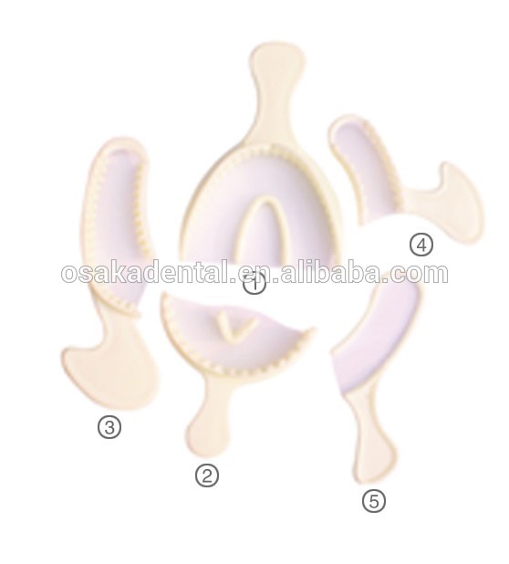 Porte-empreintes de haute qualité / porte-empreintes dentaires avec CE