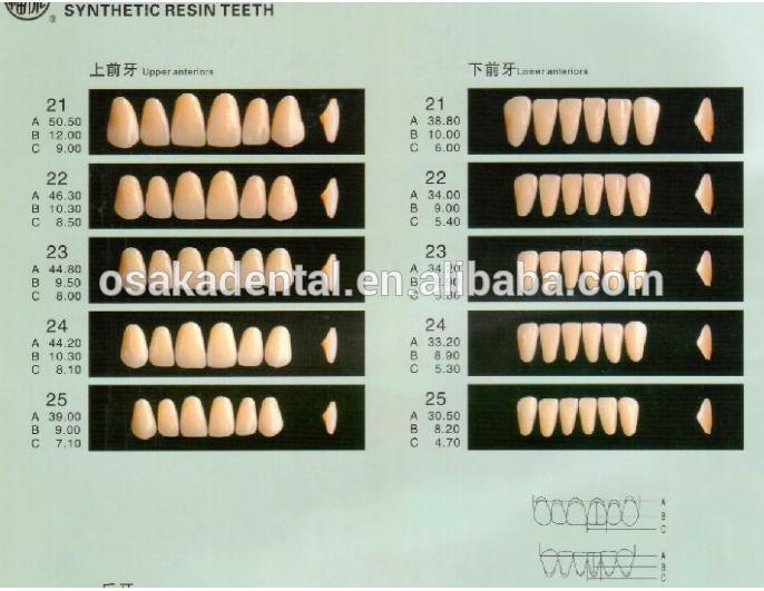 Vente chaude Dentaire Faux Dents / Dentaire Synthétique Dents / Dentaire acrylique résine dents