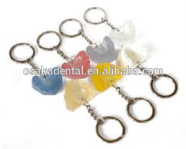 Porte-clés de dentier / décoration dentaire / cadeaux dentaires / produits culturels dentaires