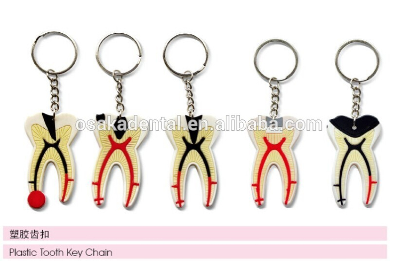 Porte-clés en plastique / accessoires dentaires / produits culturels dentaires / accessoires dentaires oraux