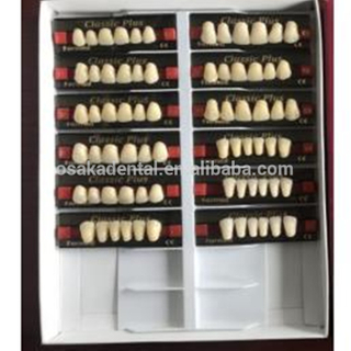 Une qualité européenne des dents avant des dents de meilleure qualité