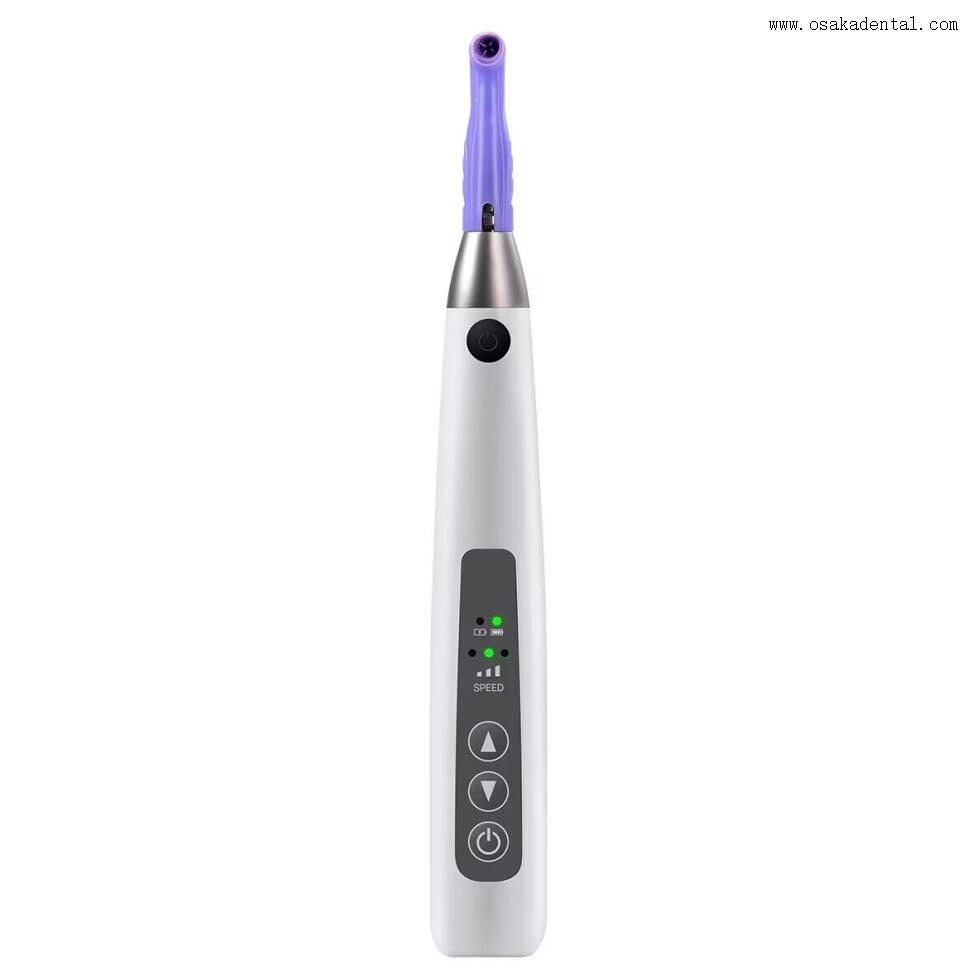 Pièce à main de prophylaxie rechargeable avec embouts