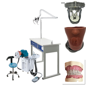 Simulation électrique dentaire pour 1 étudiant et opération à quatre mains