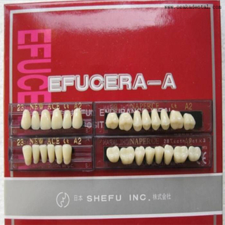 Dents en résine dentaire avec 6 ensembles complets dans une boîte