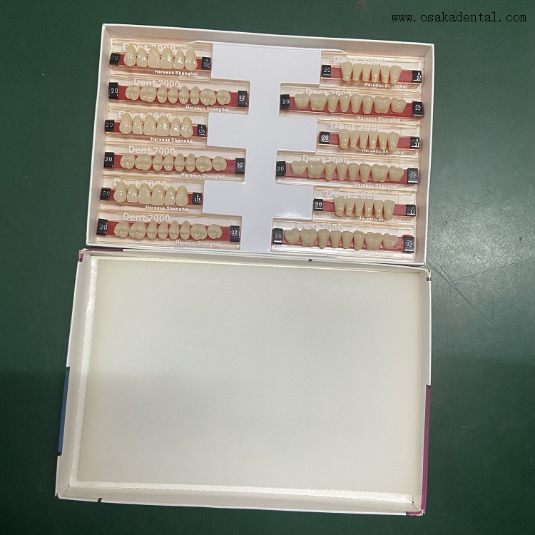 Dents dentaires en résine Heraeus 2000