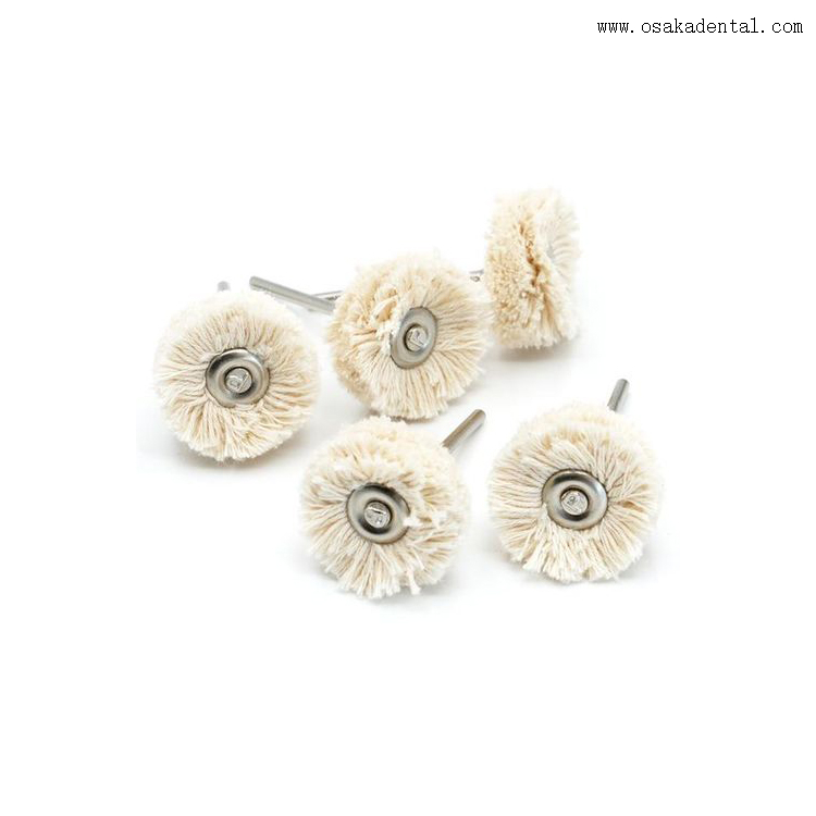 Petites brosses de polissage dentaire avec poignée