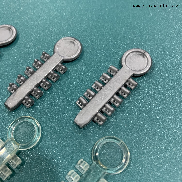 Cales de Rotation orthodontiques dentaires, en caoutchouc hautement élastique