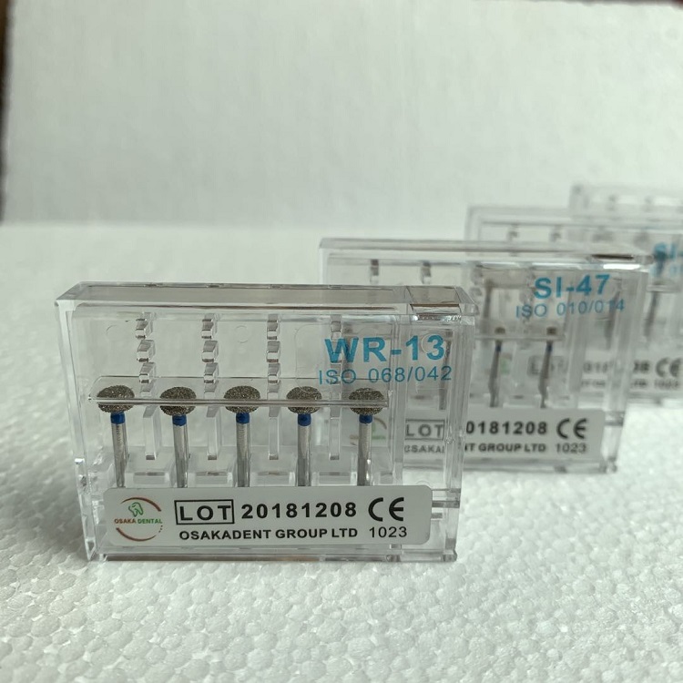 OSA5 只 装 金刚砂 车 针 3