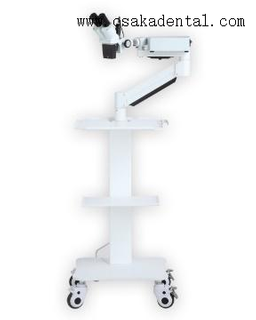 Microscope dentaire à bras court sans caméra