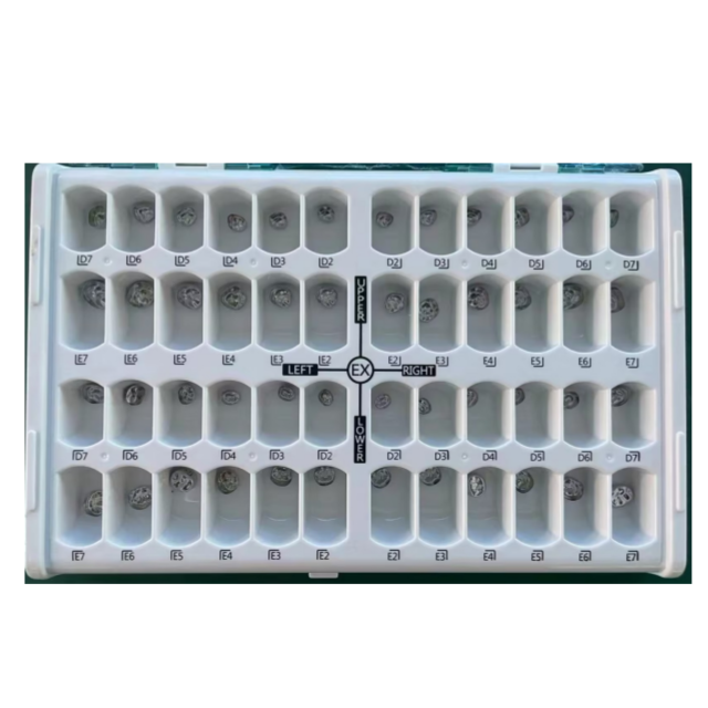 Ensemble complet de couronne dentaire en métal pour enfants