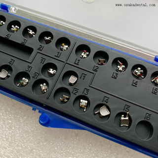 Support orthodontique adhésif dentaire pour adultes