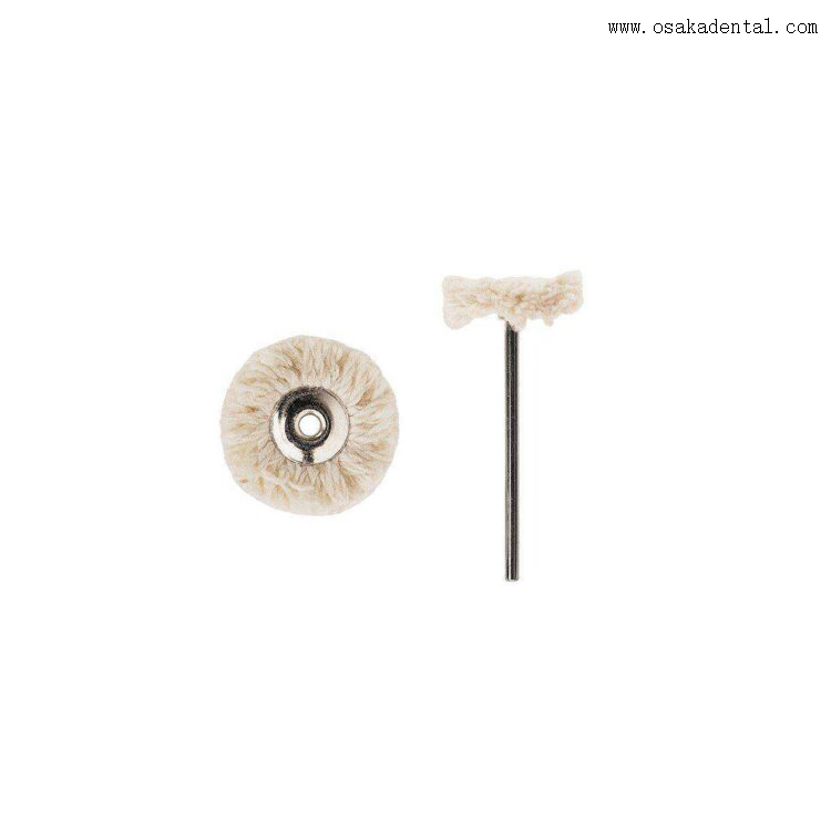 Petites brosses de polissage dentaire avec poignée