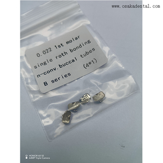 Tube buccal orthodontique dentaire avec numéro