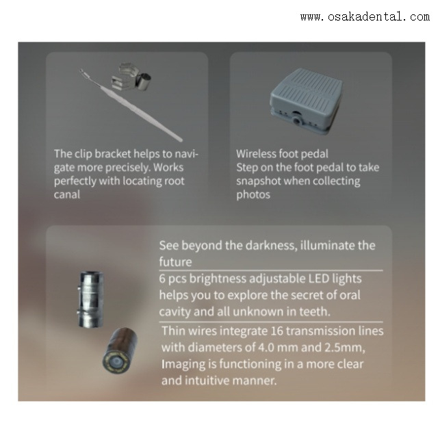 Micro-caméra dentaire dentaire 