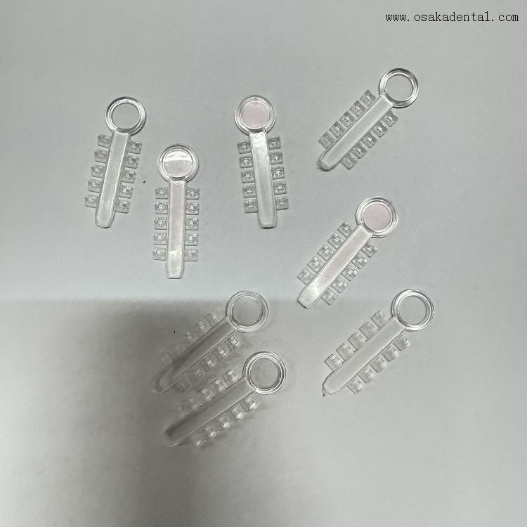 Cales de Rotation orthodontiques dentaires, en caoutchouc hautement élastique