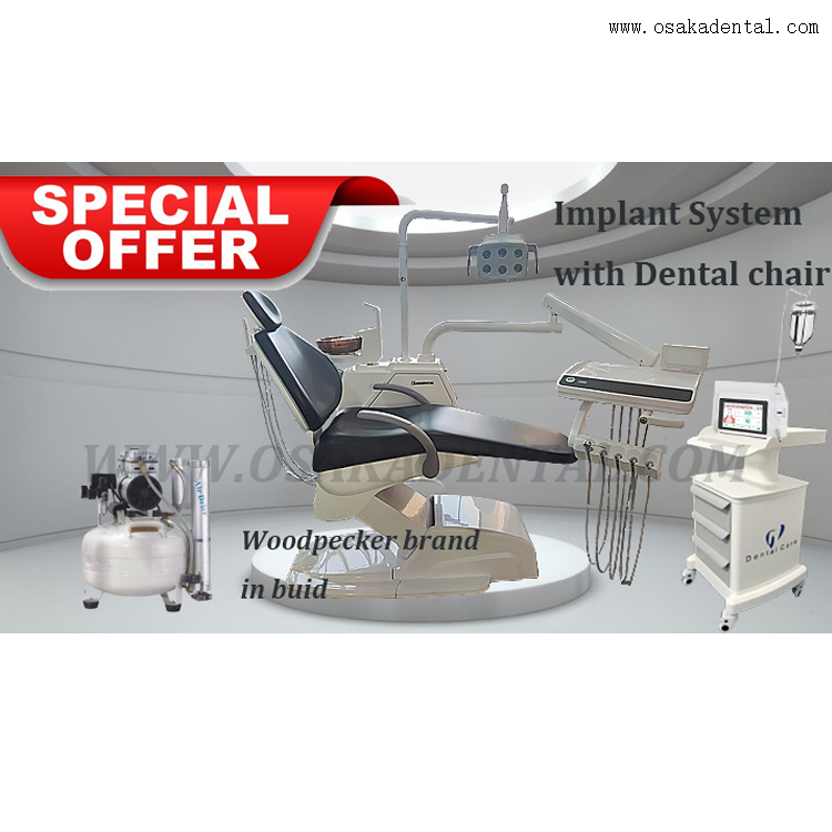 Chaise Dentla haut de gamme avec joli cuir et couleur igory