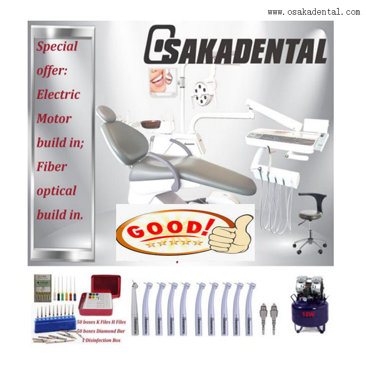 Chaise Dentla haut de gamme avec joli cuir et couleur igory