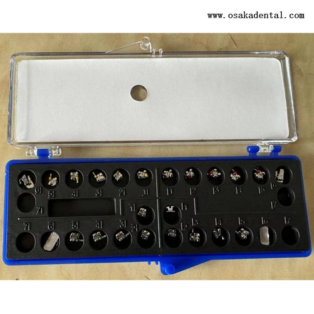 Mini support de base en maille avec tube buccal collable