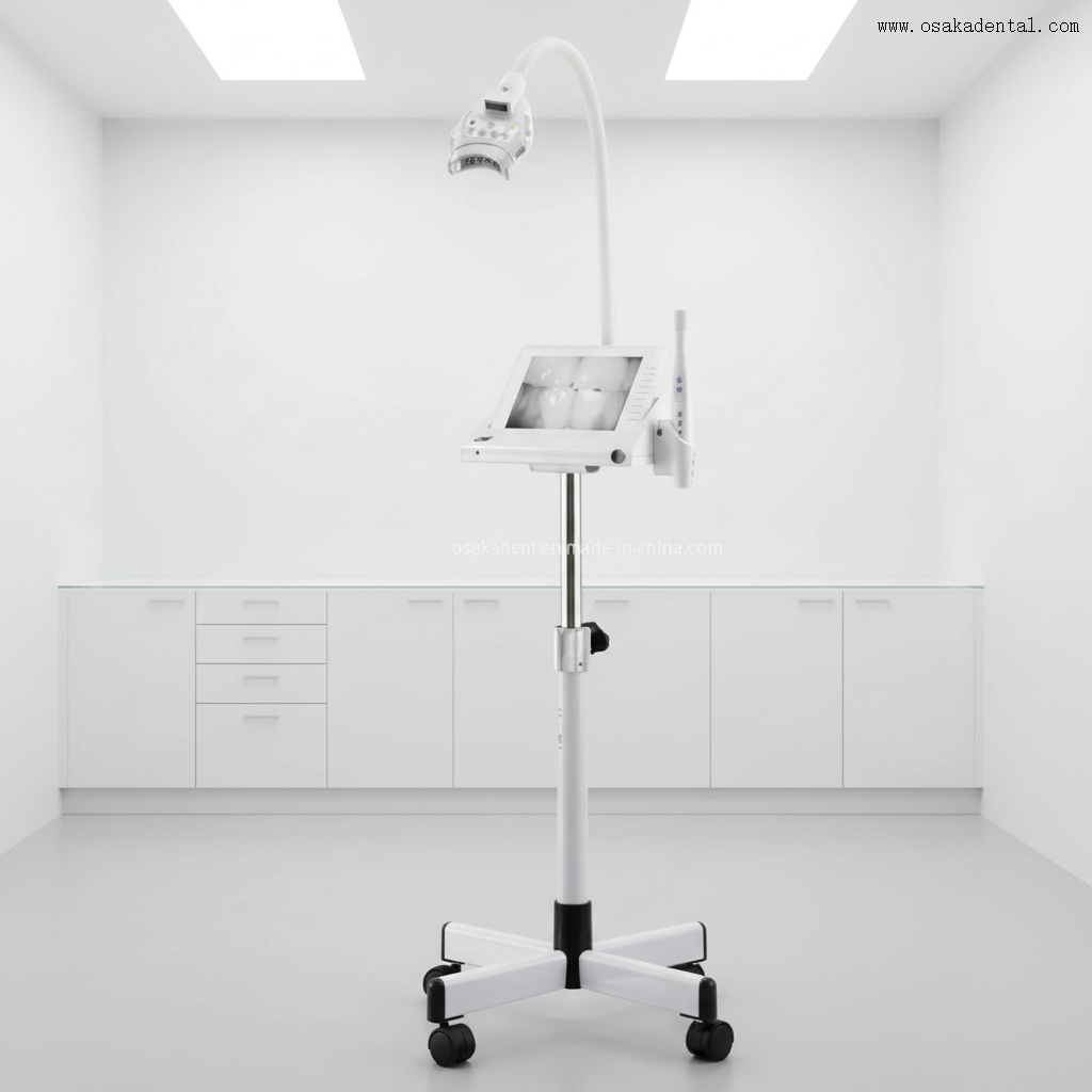 Machine professionnelle de blanchiment des dents dentaires à LED, avec intensité de lumière froide réglable, élimination rapide des taches, soins bucco-dentaires sûrs