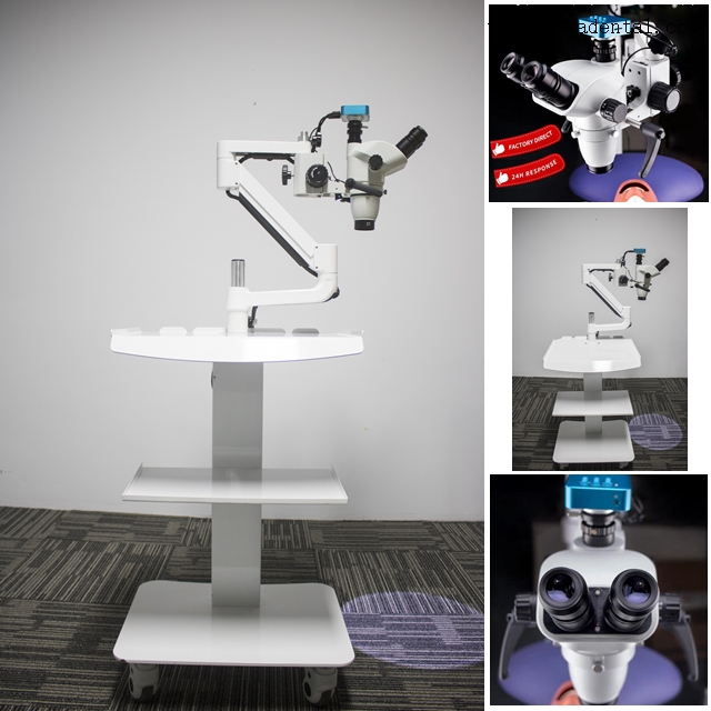 Microscope endodontique dentaire mobile avec caméra