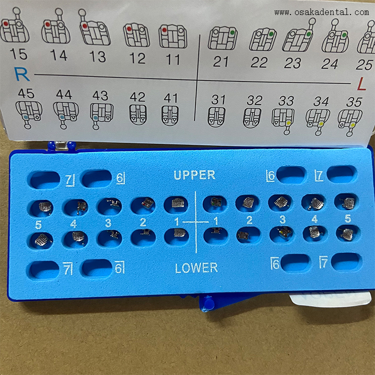 Support métallique de base en maille orthodontique dentaire