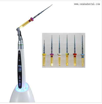 Quel est le champ d'application du fichier endodontique?