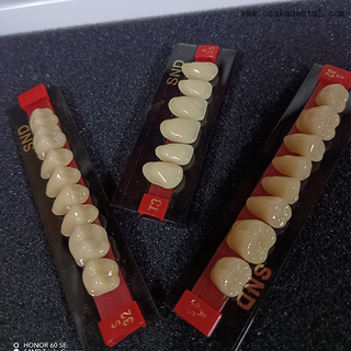 Dents en résine bicolore de haute qualité pour des prothèses d'apparence naturelle