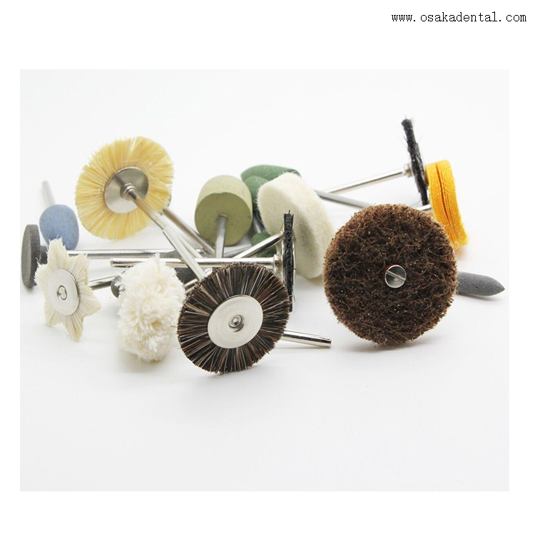 Petites brosses de polissage dentaire avec poignée