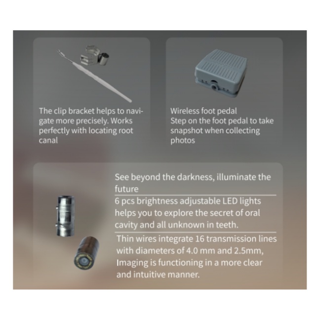 Micro caméra dentaire dentaire.