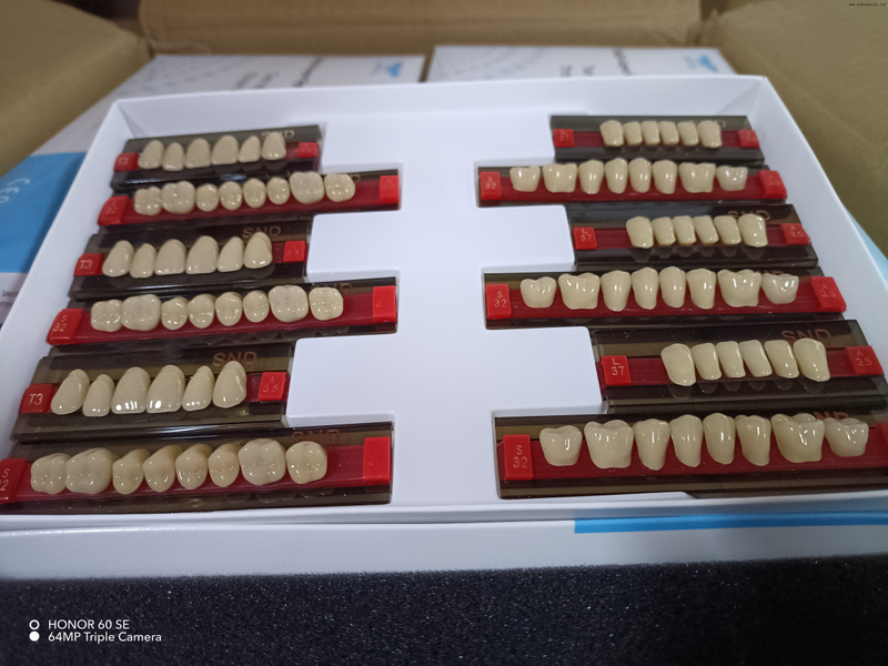 Dents en résine bicolore de haute qualité pour des prothèses d'apparence naturelle