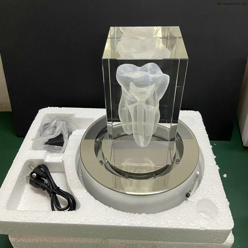 Forme des dents dentaires pour la décoration de la clinique dentaire