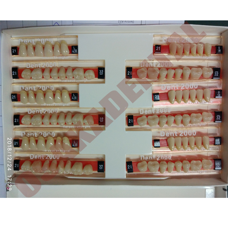 Dents Detnal en porcelaine acrylique avec broche en alliage Ensemble complet 3 ensembles