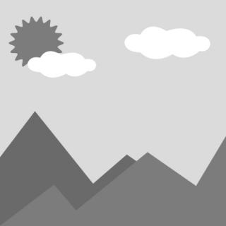 Limes Niti jetables spéciales dentaires